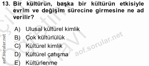 Soru 13