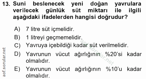 Soru 13