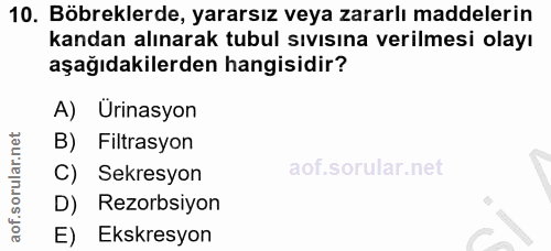 Soru 10