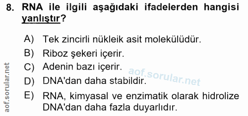 Soru 8