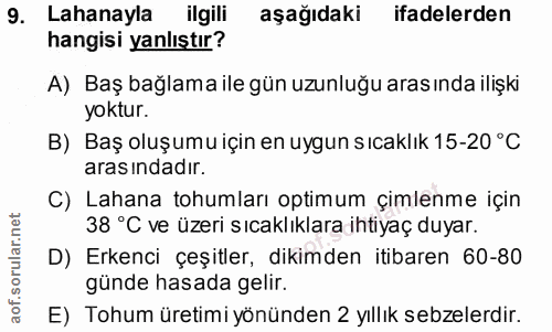 Soru 9