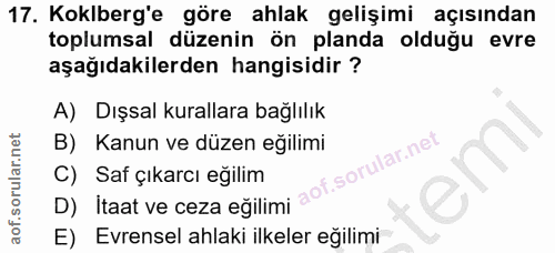 Soru 17
