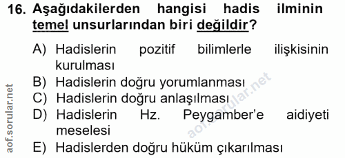 Soru 16