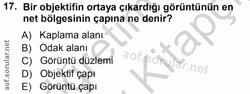 Soru 17