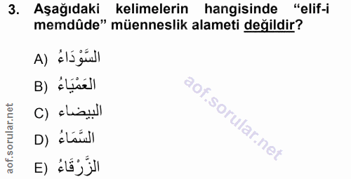 Soru 3