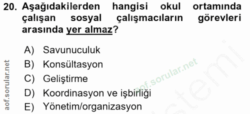 Soru 20