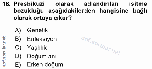 Soru 16