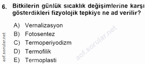 Soru 6
