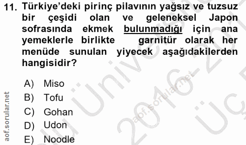 Soru 11