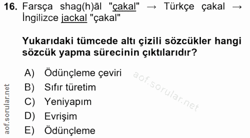 Soru 16