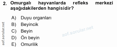 Soru 2