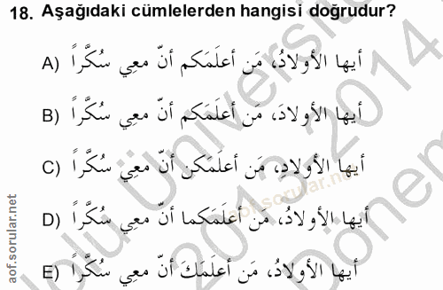 Soru 18