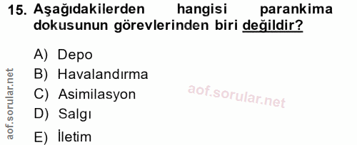 Soru 15