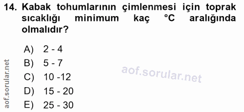 Soru 14
