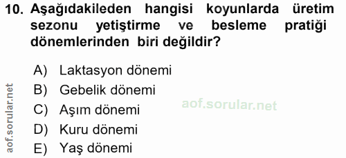 Soru 10