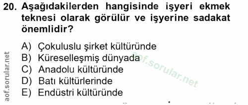 Soru 20