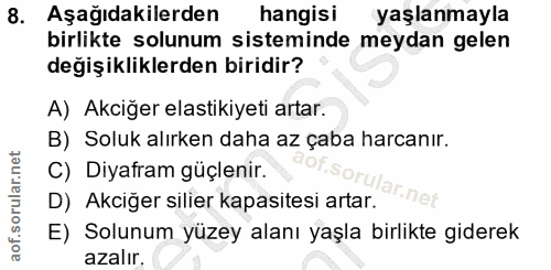 Soru 8