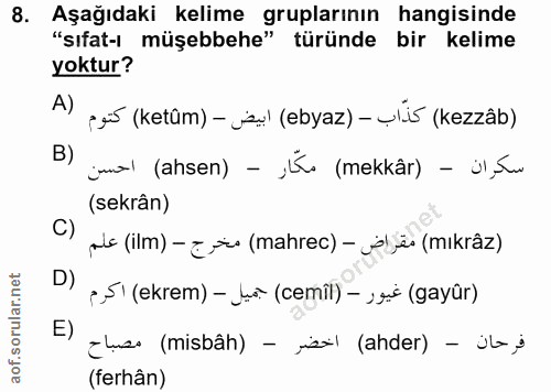 Soru 8