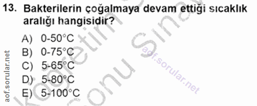Soru 13