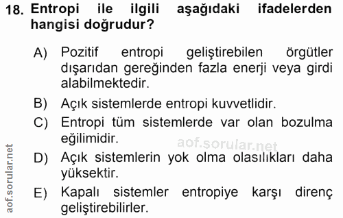 Soru 18