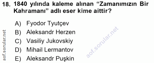 Soru 18