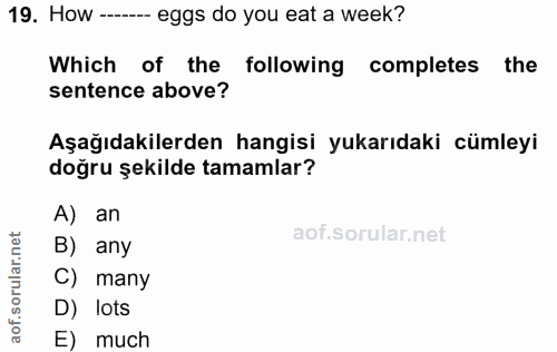 Soru 19