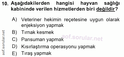 Soru 10