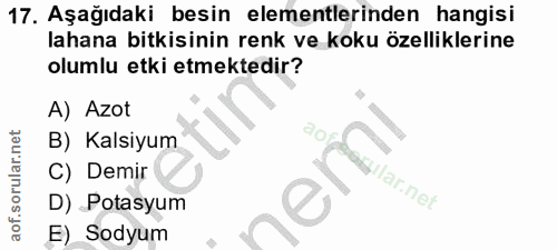 Soru 17