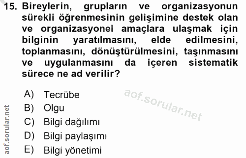 Soru 15