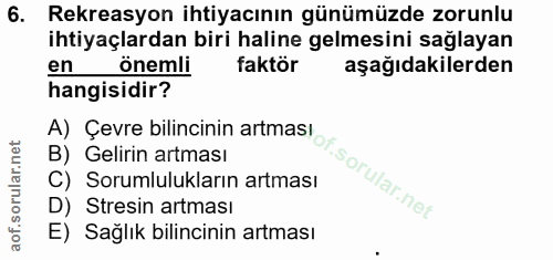Soru 6