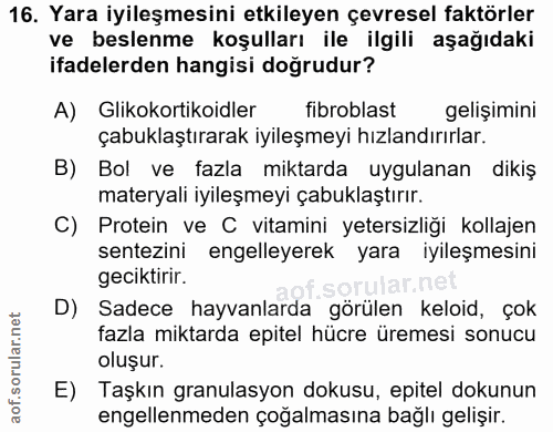 Soru 16