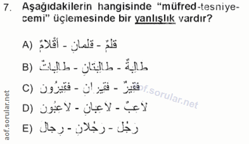 Soru 7