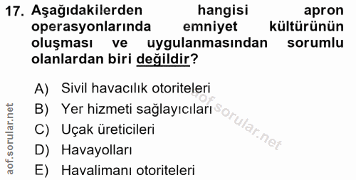 Soru 17