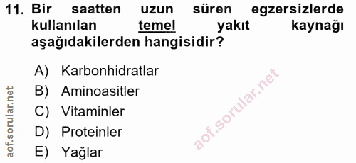 Soru 11