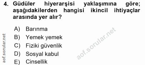 Soru 4