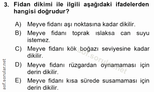 Soru 3