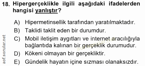 Soru 18