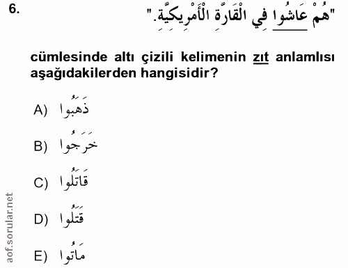Soru 6