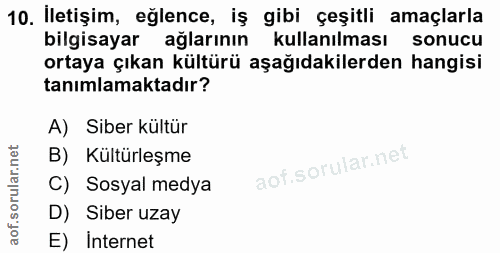 Soru 10