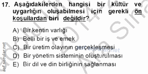 Soru 17