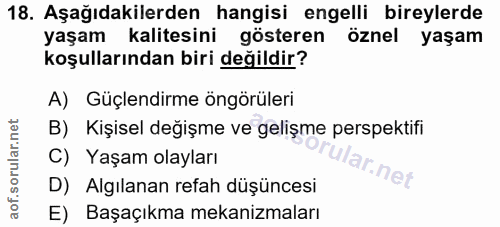 Soru 18