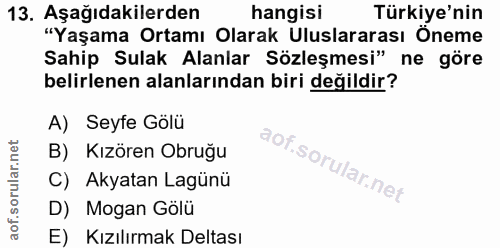 Soru 13
