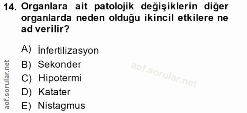 Soru 14