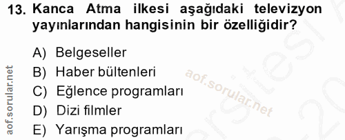 Soru 13