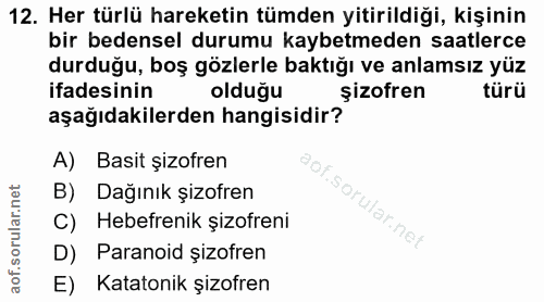 Soru 12