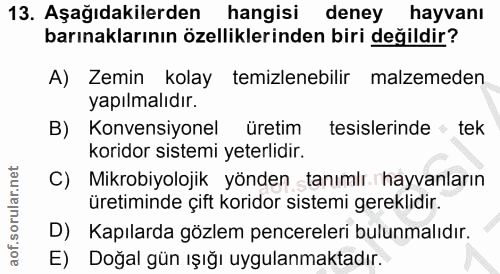 Soru 13