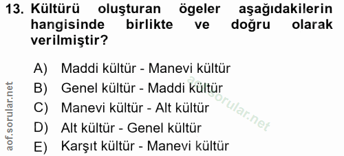 Soru 13