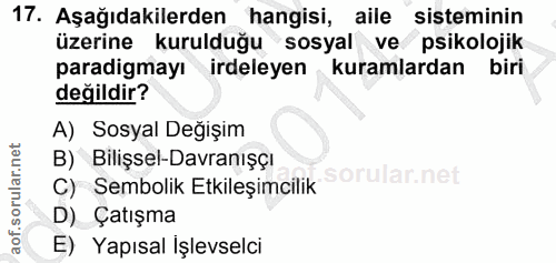 Soru 17