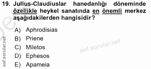 Soru 19