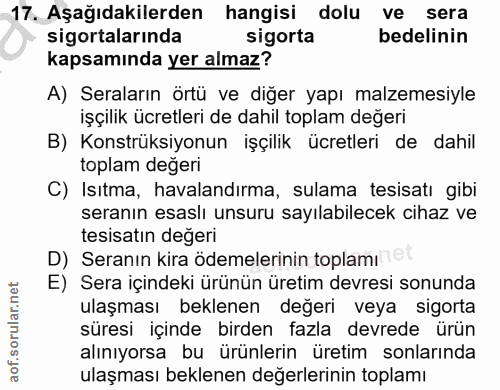 Soru 17
